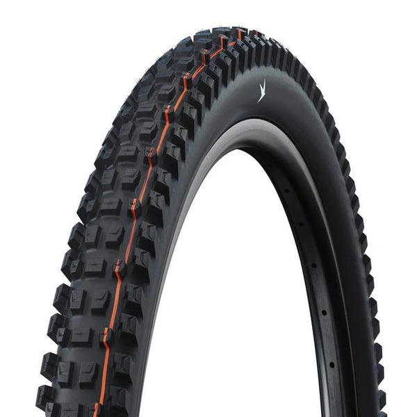 Schwalbe Albert Gravity Pro ADDIX Soft 29x2.5 Neumatico