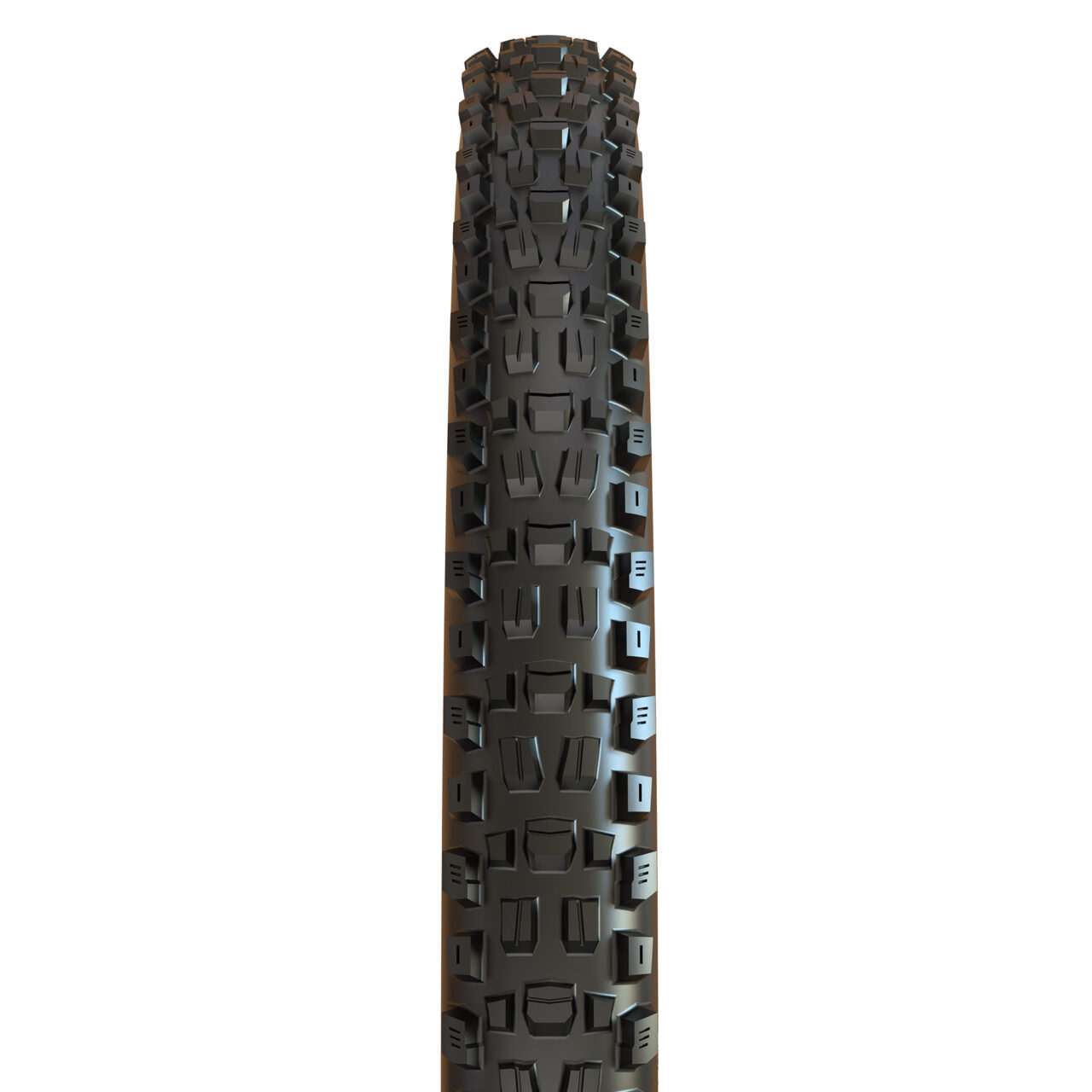 MAXXIS ASSEGAI 29X2.5WT 3CG/DD/TR Neumatico